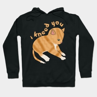 I Kneed you (fluffy orange cat) Hoodie